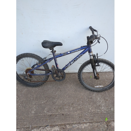 Lot 298       