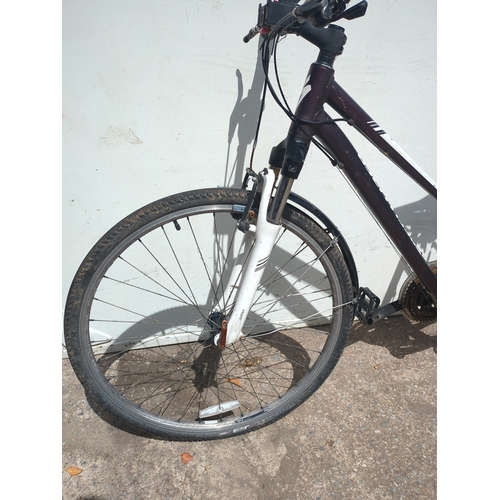 245 - Specialized Ariel Hybrid Bike