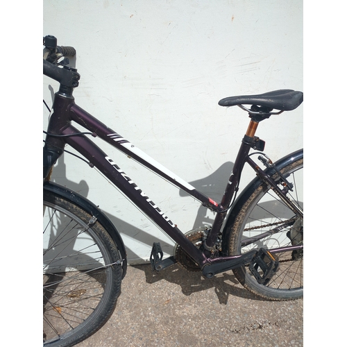 245 - Specialized Ariel Hybrid Bike