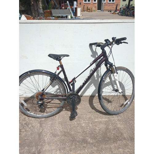 245 - Specialized Ariel Hybrid Bike