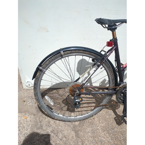 245 - Specialized Ariel Hybrid Bike