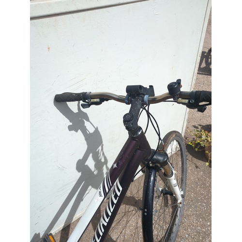 245 - Specialized Ariel Hybrid Bike