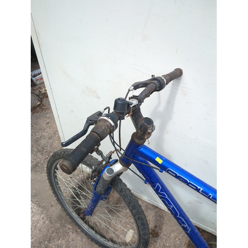 262 - Apollo XC26 Mountain Bike