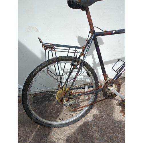 292 - Diamond Back Horizon Bicycle