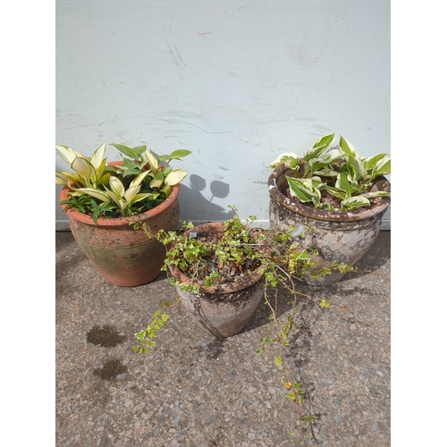 299 - Terracotta and Stone Effect Plant Pots with Foliage