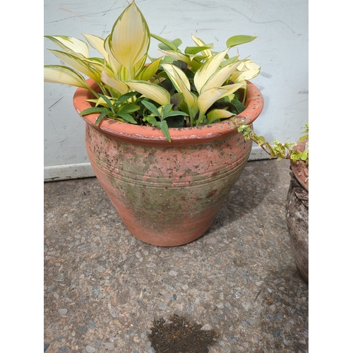 299 - Terracotta and Stone Effect Plant Pots with Foliage