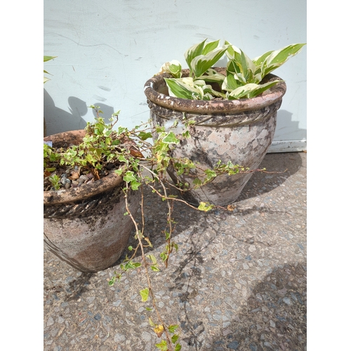 299 - Terracotta and Stone Effect Plant Pots with Foliage