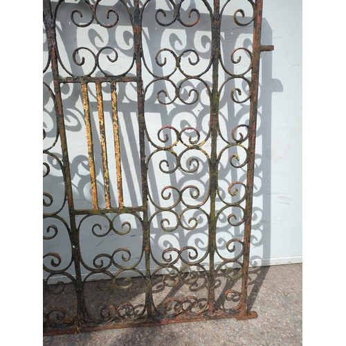 301 - Ornate Iron Gate