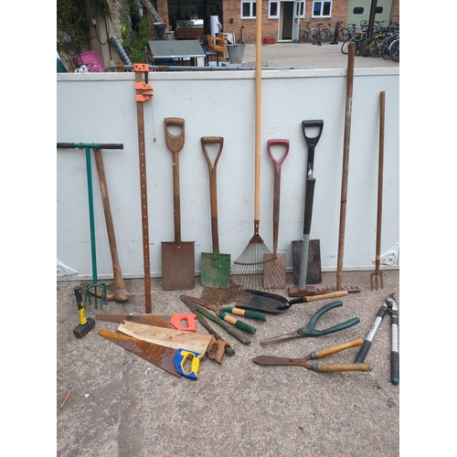 312 - Assorted Garden Hand Tools Set