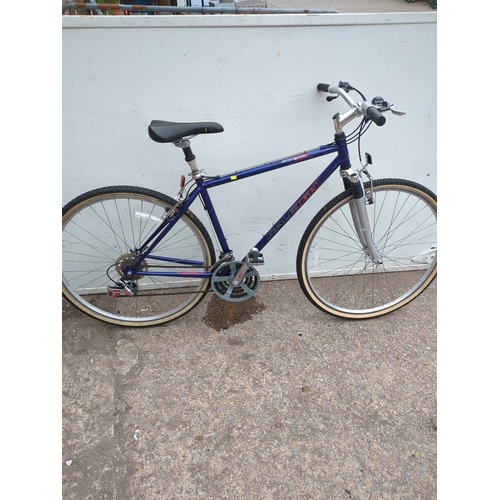 313 - Raleigh Bike 300 Bicycle