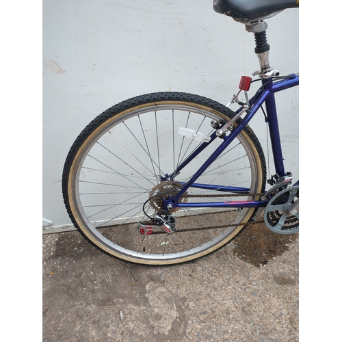 313 - Raleigh Bike 300 Bicycle