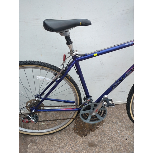 313 - Raleigh Bike 300 Bicycle