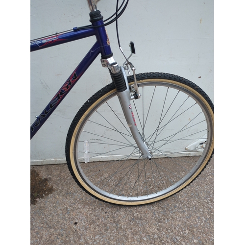 313 - Raleigh Bike 300 Bicycle