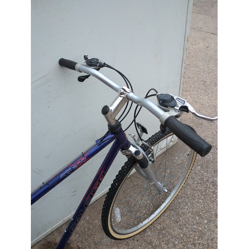 313 - Raleigh Bike 300 Bicycle