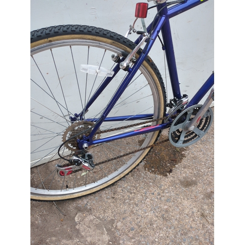 313 - Raleigh Bike 300 Bicycle