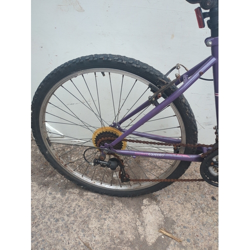 142 - Apollo Twilight Mountain Bike