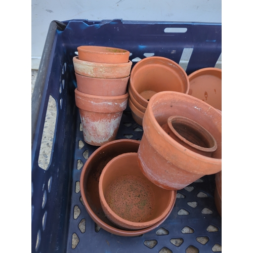 103 - Terracotta Plant Pots Collection