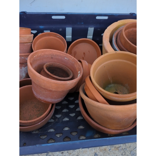 103 - Terracotta Plant Pots Collection