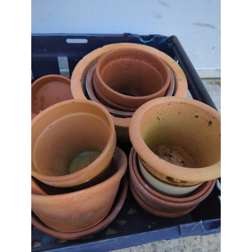 103 - Terracotta Plant Pots Collection