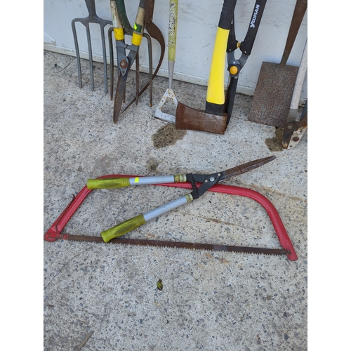 106 - Garden Tool Set with Shovels and Forks