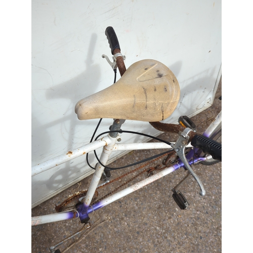 149 - Schauff Tandem Bicycle