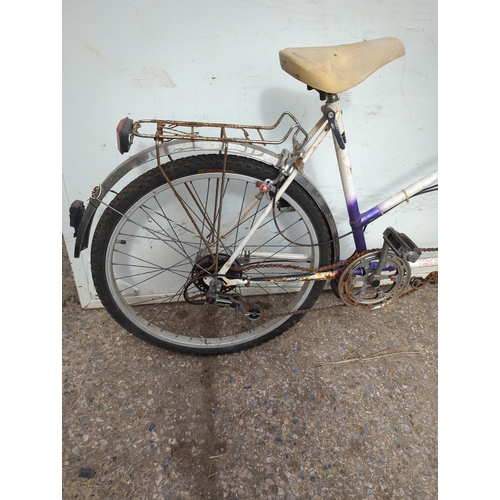 149 - Schauff Tandem Bicycle