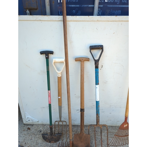 45 - BRQ Value Garden Tools Set