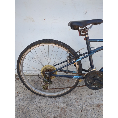 56 - Apollo Gradient Mountain Bike