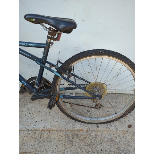 56 - Apollo Gradient Mountain Bike