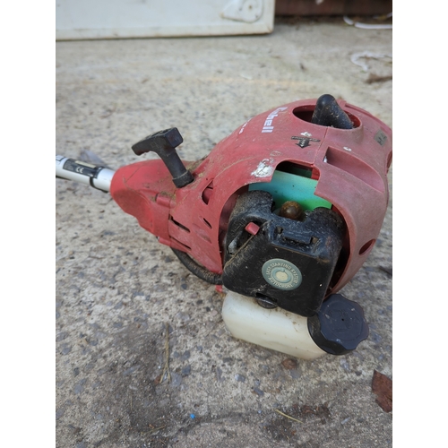 59 - Einhell GH-BC 25 AS Petrol Brush Cutter