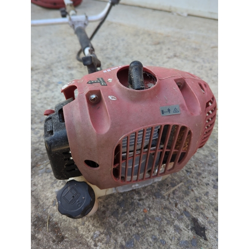 59 - Einhell GH-BC 25 AS Petrol Brush Cutter