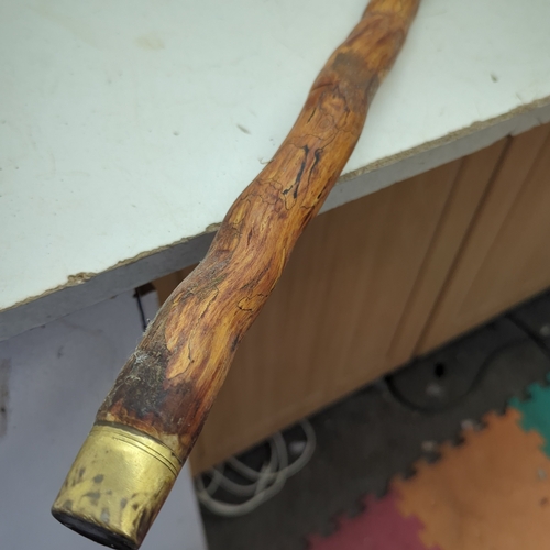 239 - Natural Walking Stick