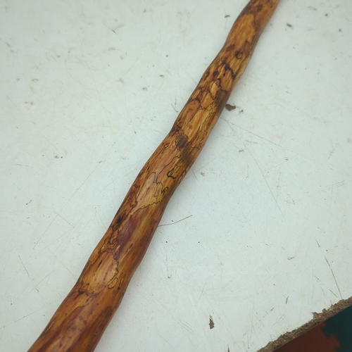 239 - Natural Walking Stick