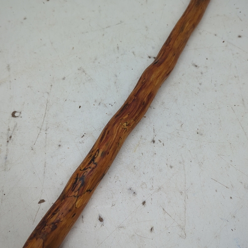 239 - Natural Walking Stick