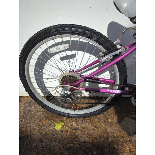 273 - Raleigh Girls Bike