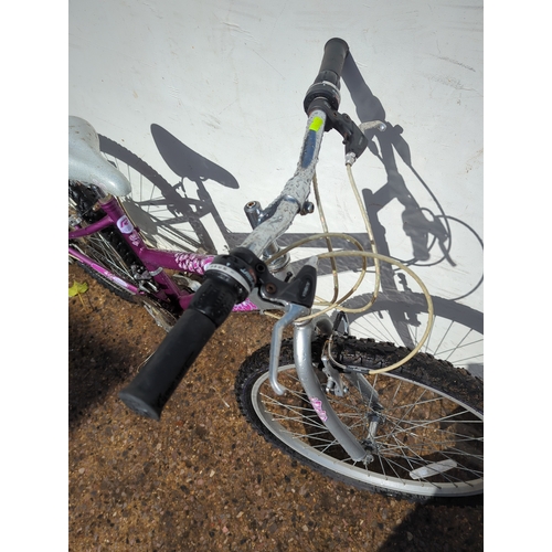 273 - Raleigh Girls Bike