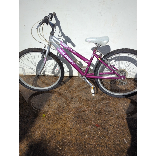 273 - Raleigh Girls Bike