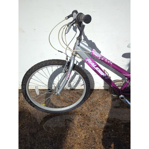 273 - Raleigh Girls Bike