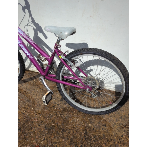 273 - Raleigh Girls Bike