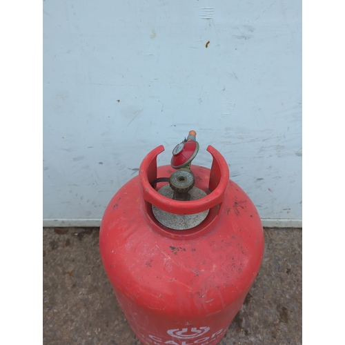 123 - Calor 13kg Propane Gas Bottle
