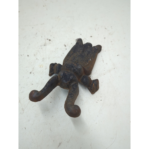 16 - Cast Iron Insect