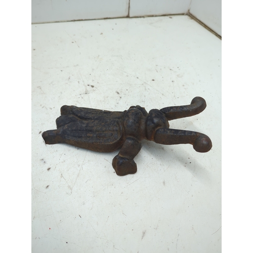 16 - Cast Iron Insect