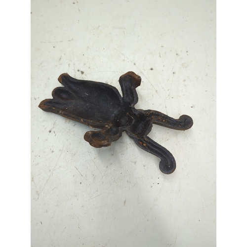 16 - Cast Iron Insect