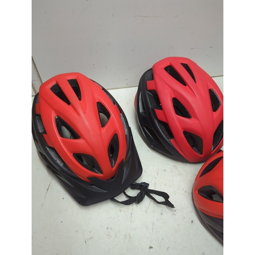 220 - Raleigh QUEST Cycling Helmets
