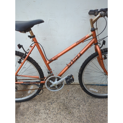 274 - Integra Phantom Mountain Bike