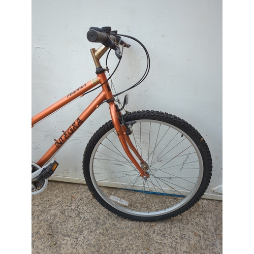 274 - Integra Phantom Mountain Bike