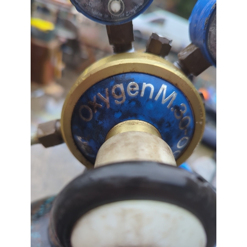 1631 - Oxygen M300 Cylinders with Trolley