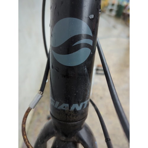 65 - Giant Escape Bicycle