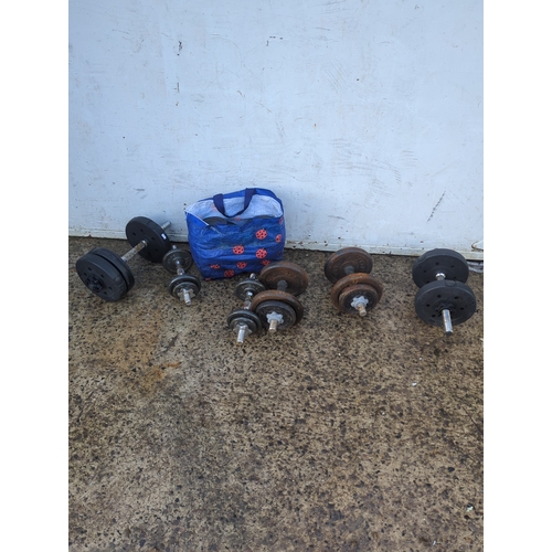 110 - Lot of 6 Dumbbells with Proiron Weights