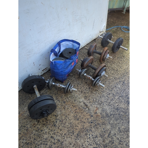110 - Lot of 6 Dumbbells with Proiron Weights